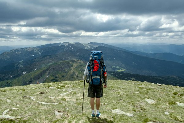 Quels sont les meilleurs spots pour observer le léopard des neiges dans les montagnes de l'Himalaya : périodes et guides ?