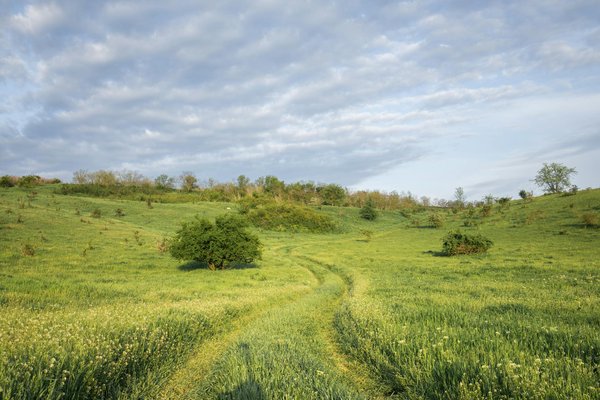Guide complet du tour du mont blanc : astuces et itinéraires