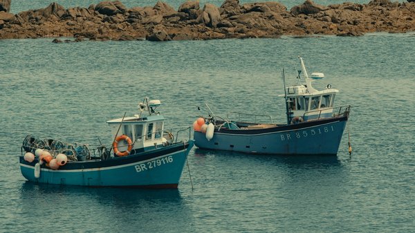Comment trouver une location de vacances en Bretagne avec des cours de navigation et de pêche en mer?