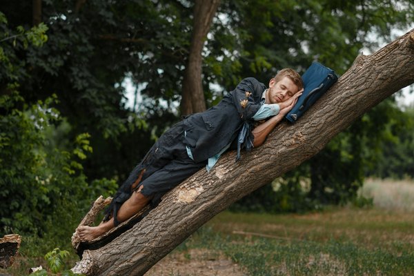 Dormir dans les arbres : vivez une expérience unique